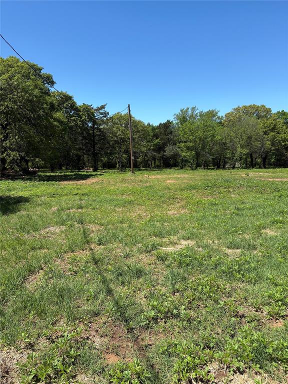 1 B County Road 167 Road Whitesboro, TX 76273 - Photo 5 of 10 a view of outdoor space and yard