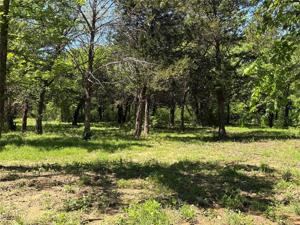 1 B County Road 167 Road Whitesboro, TX 76273 - Photo 7 of 10 a view of a backyard with large trees