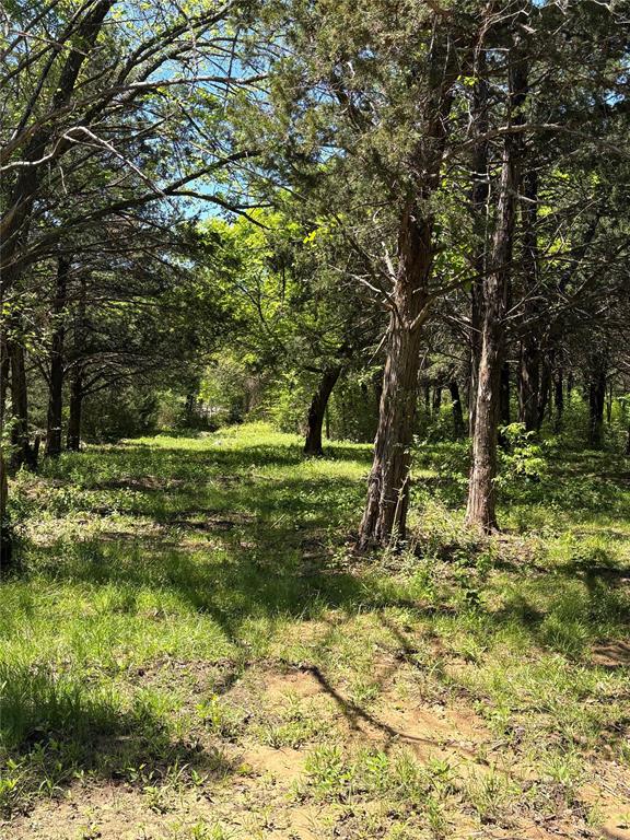 1 B County Road 167 Road Whitesboro, TX 76273 - Photo 8 of 10 a big yard with lots of green space and trees