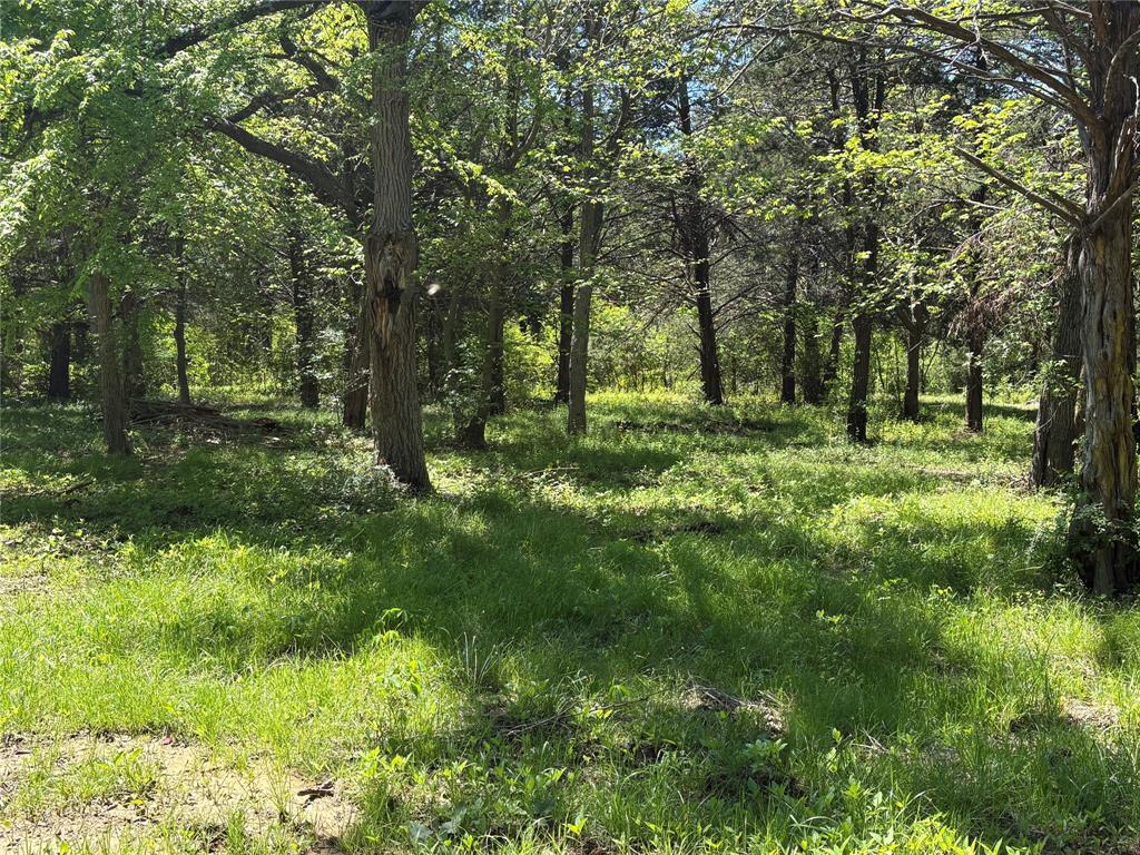 1 B County Road 167 Road Whitesboro, TX 76273 - Photo 9 of 10 a large yard with lots of green space and trees