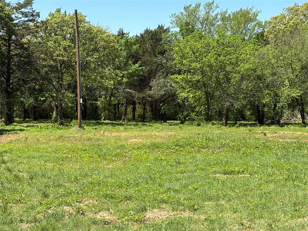 1 B County Road 167 Road Whitesboro, TX 76273 - Photo 10 of 10 a backyard of a house with lots of green space