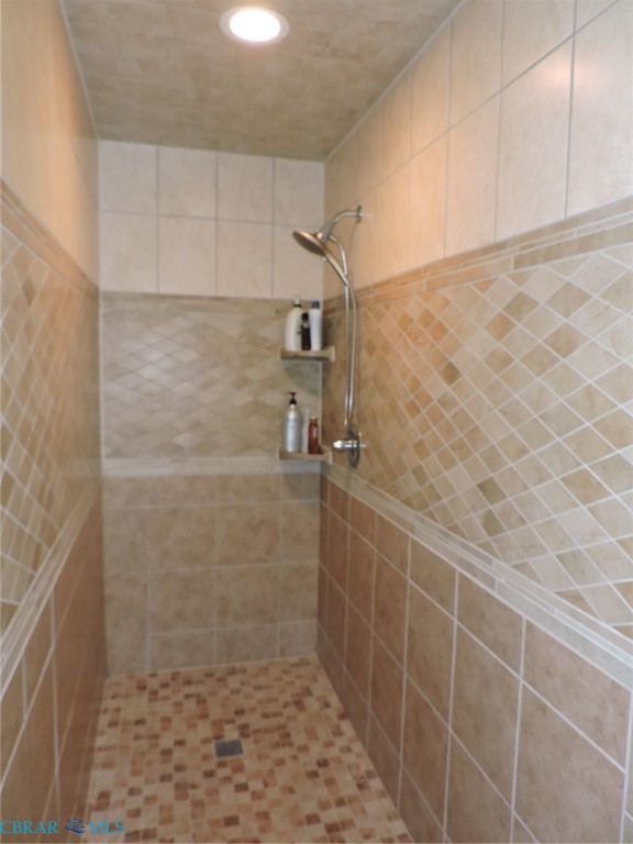 869 Ebenezer Church Road Cobbs Creek, VA 23035 - Photo 19 of 25 Walk in shower