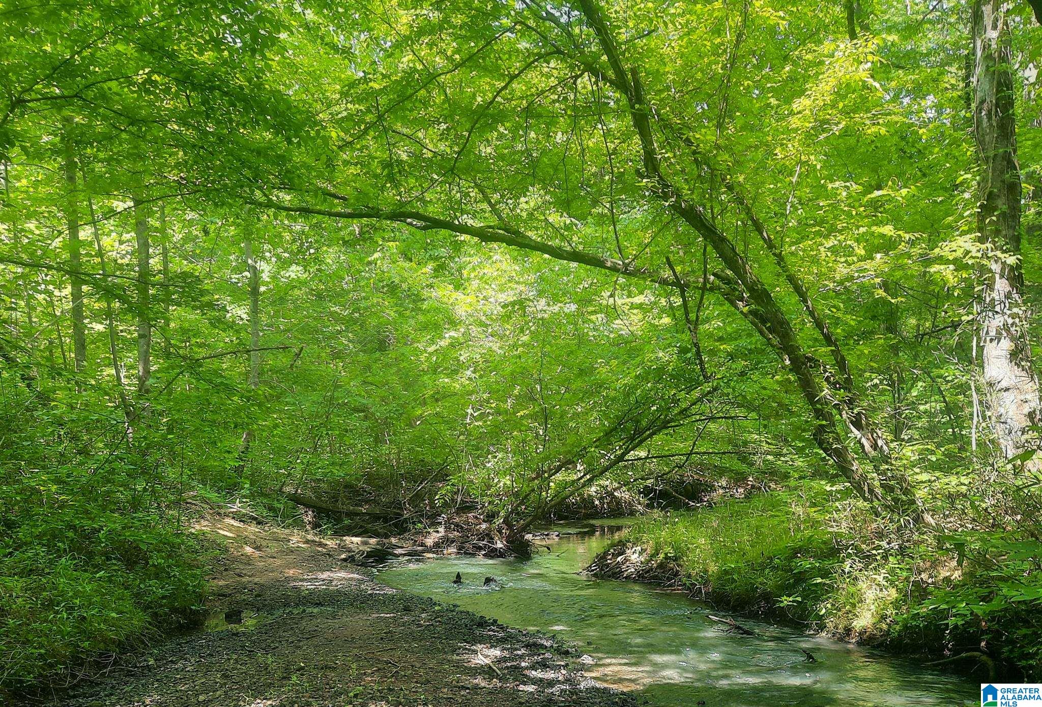 Hale Creek Road Oneonta, AL 35121 - Photo 10 of 17