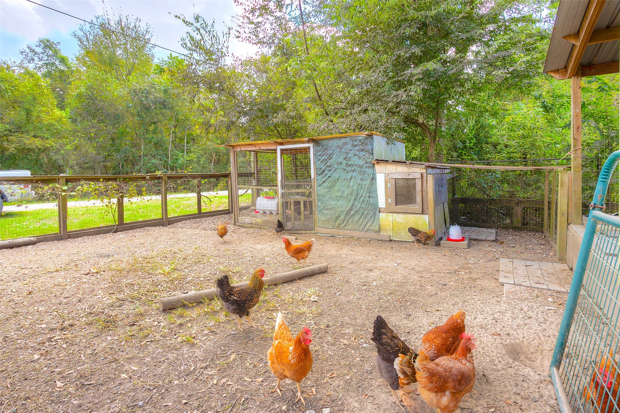 18 A R Kirk Road Trinity, TX 75862 - Photo 39 of 44 ...chicken coop, and fully fenced area for hobby farming.