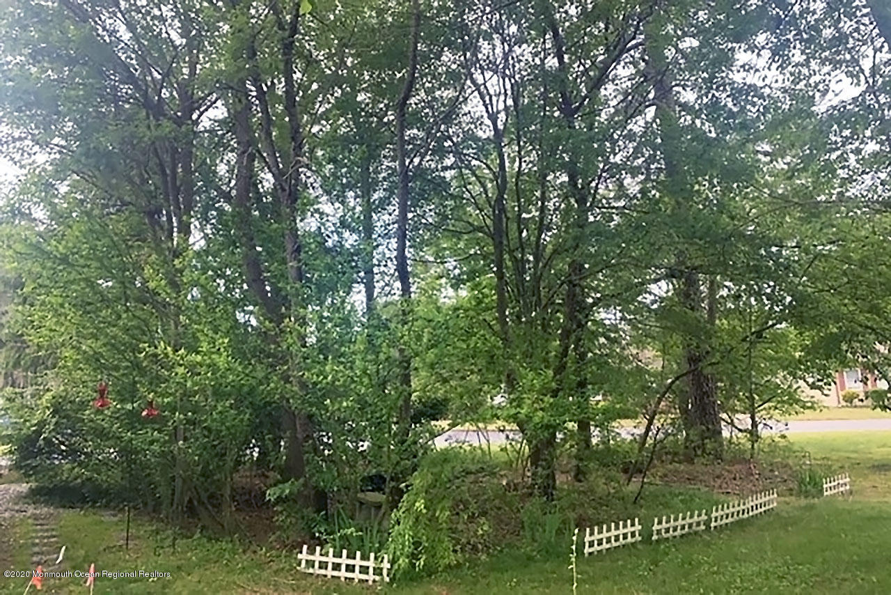 21 Augusta Road Whiting, NJ 08759 - Photo 5 of 35 IMG_0052