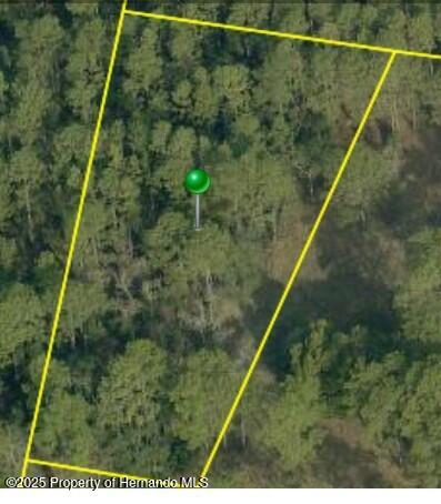 . Scooby Road Brooksville, FL 34604 - Photo 5 of 7
