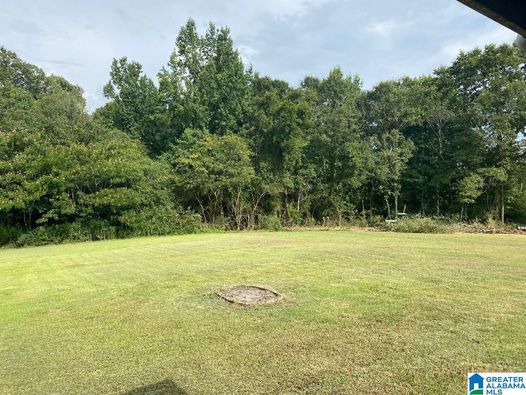 126 Sanders Road Jasper, AL 35504 - Photo 28 of 31