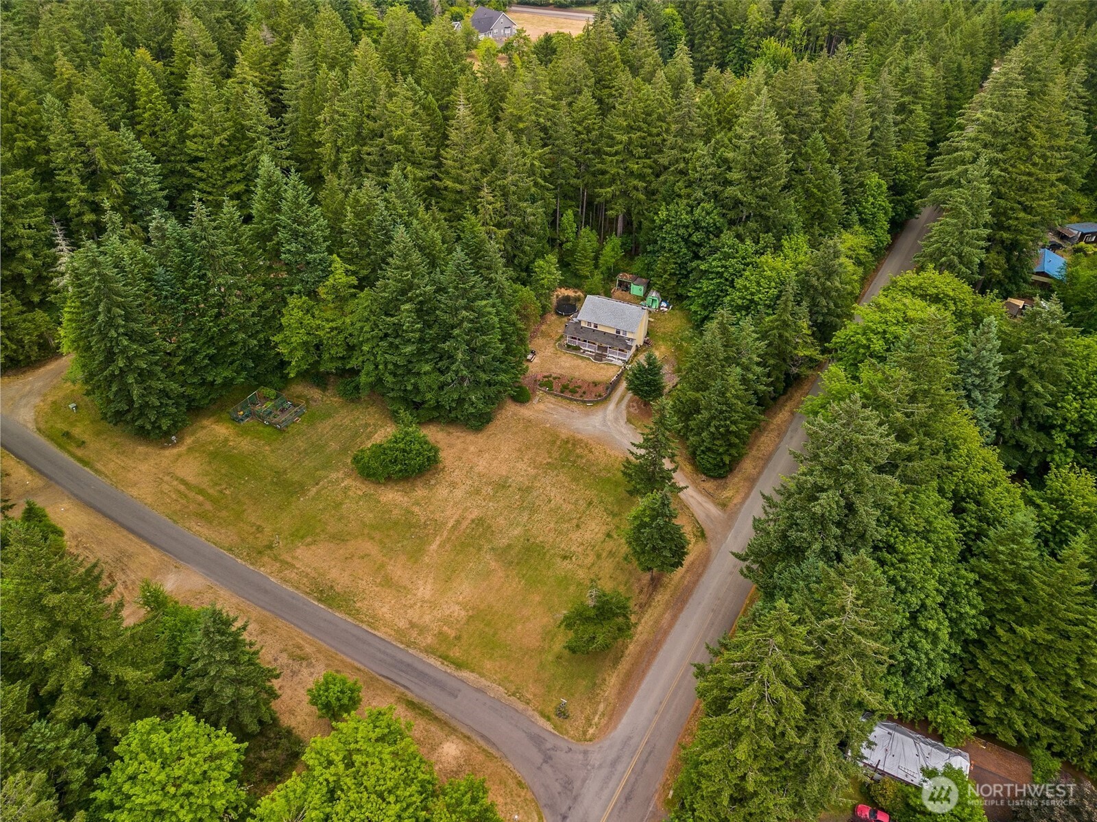 1471 Southeast Binns Swiger Loop Road Shelton, WA 98584 - Photo 5 of 13 view of a tree with a yard