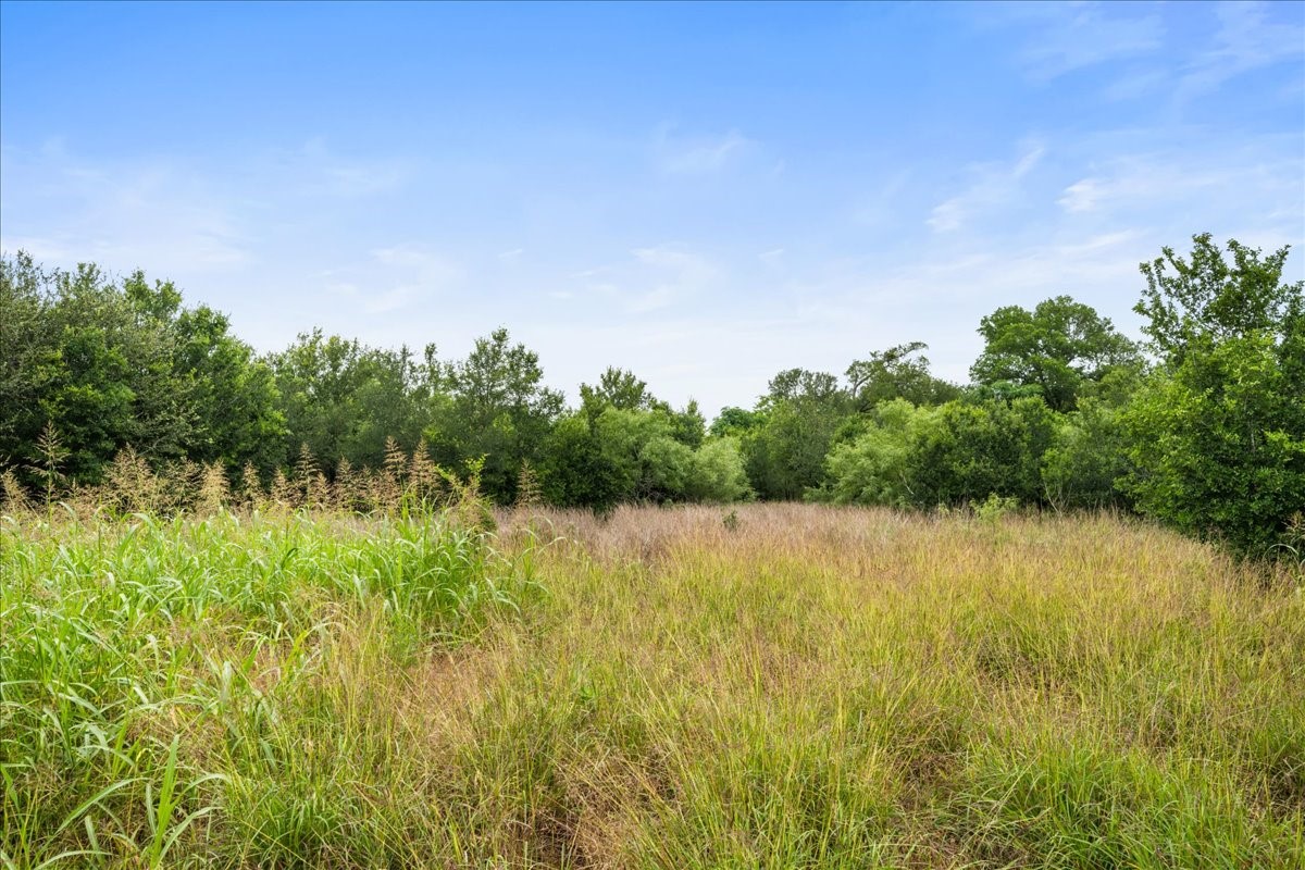 288 Charcoal Road Rosanky, TX 78953 - Photo 22 of 23 a view of a lake with a yard