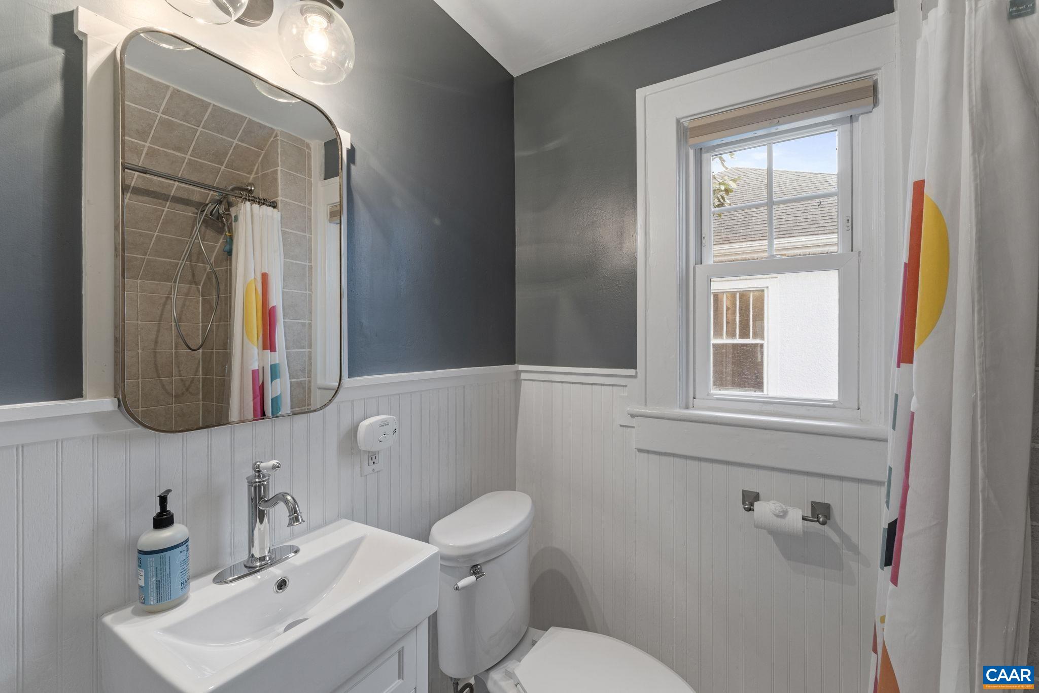 1105 Avon Street Charlottesville, VA 22902 - Photo 42 of 51 a bathroom with a toilet a sink and mirror