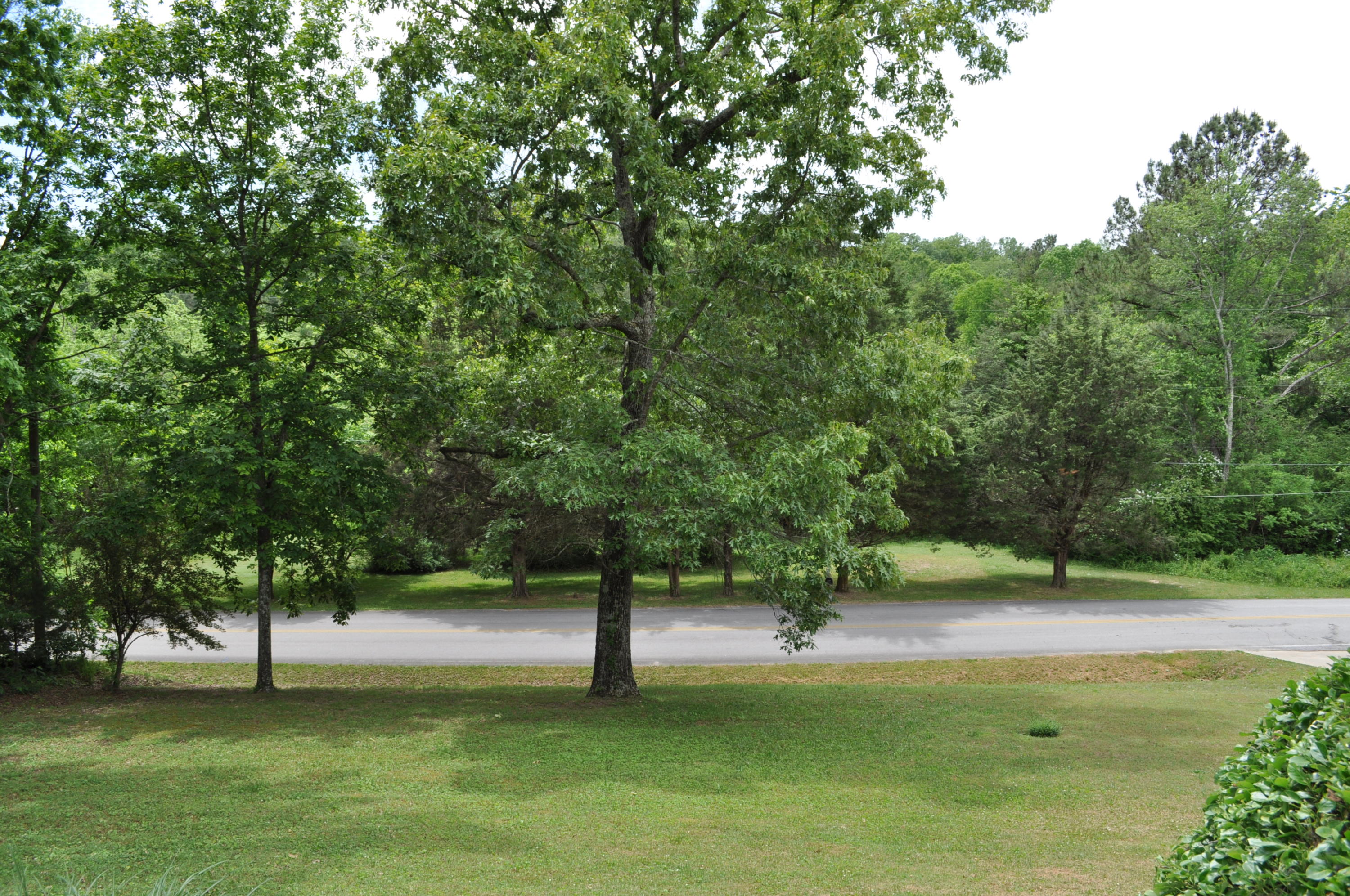 9810 Hamby Road Soddy Daisy, TN 37379 - Photo 11 of 50 DSC_0528