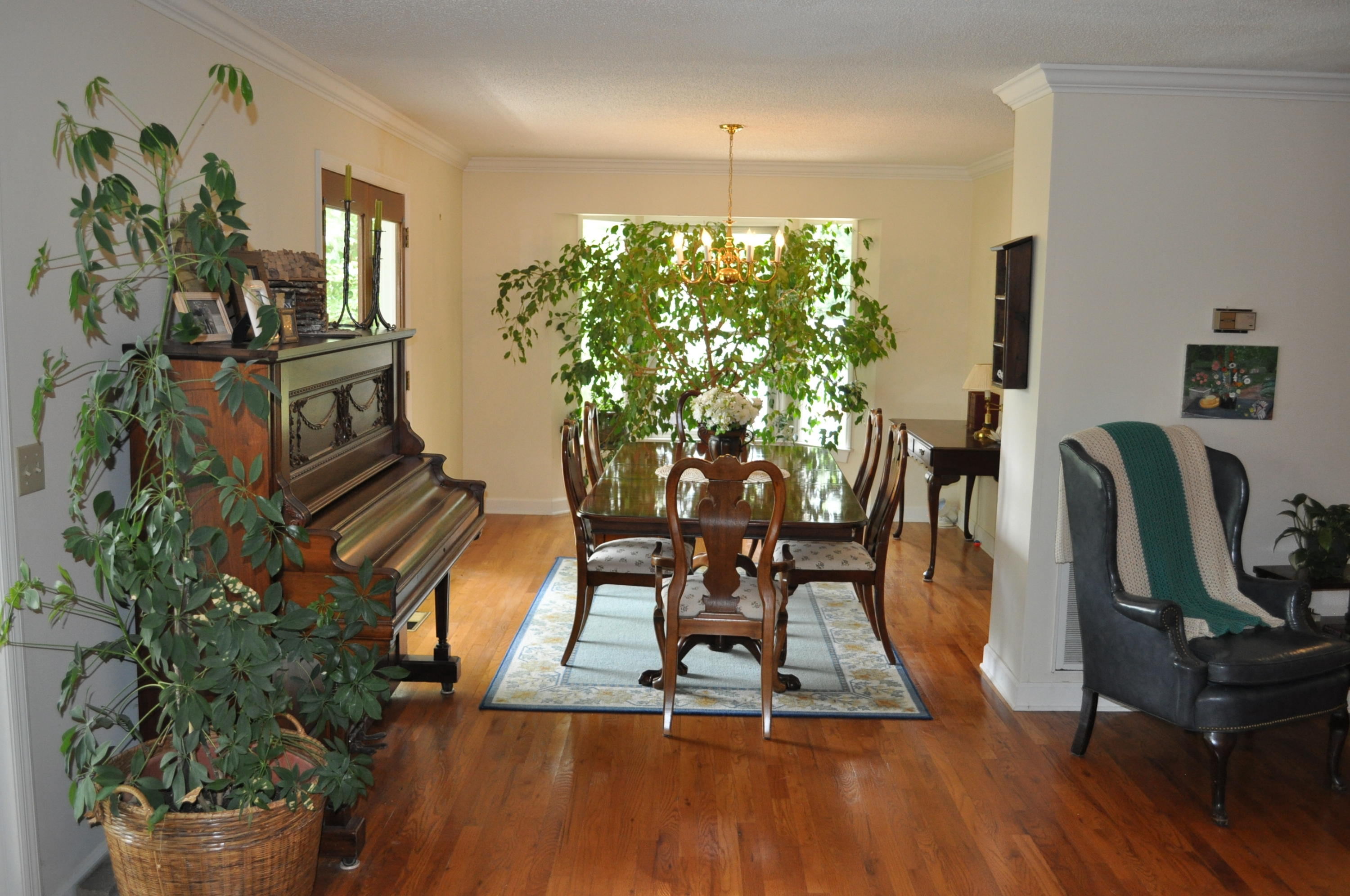 9810 Hamby Road Soddy Daisy, TN 37379 - Photo 19 of 50 DSC_0545