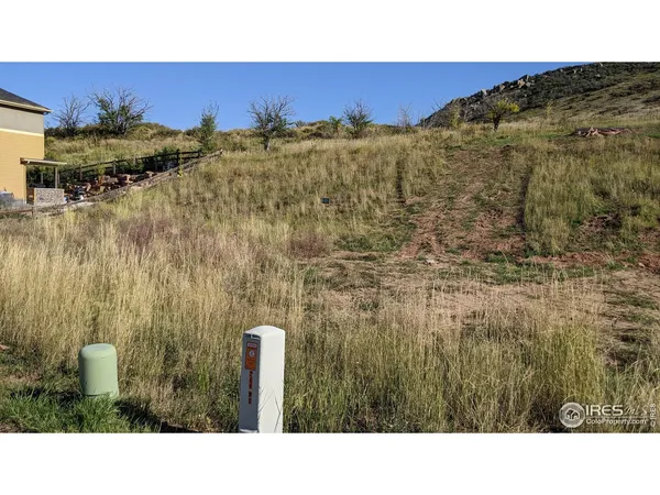 a black and white photo of a mountain