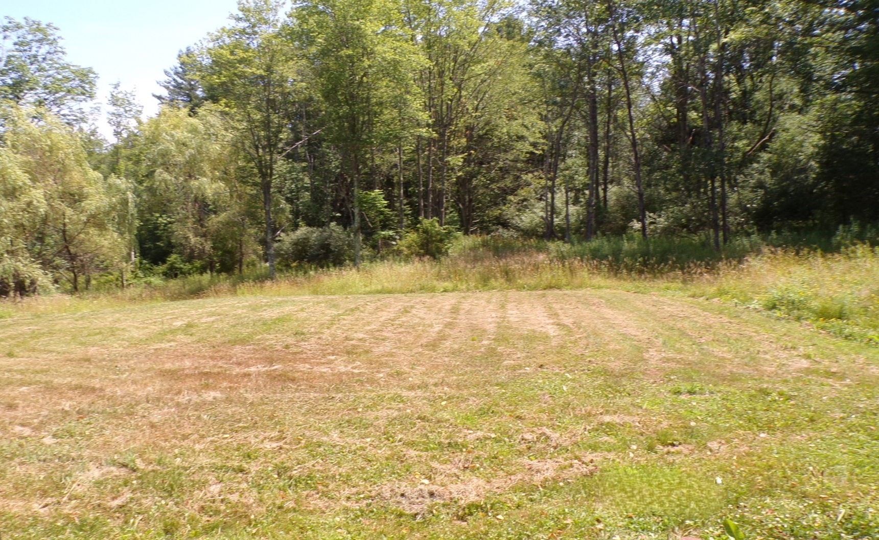 180 Swift Road Binghamton, NY 13905 - Photo 4 of 25 Gallery Image 4