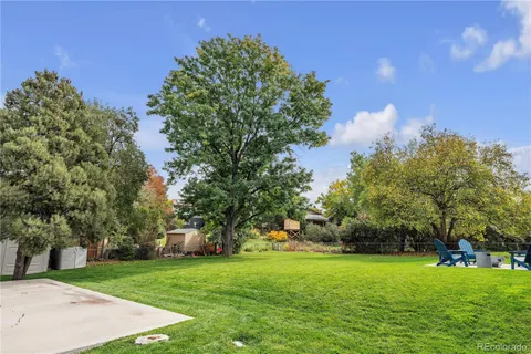a view of a park with large trees