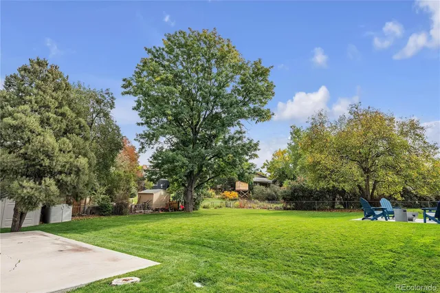 a view of a park with large trees