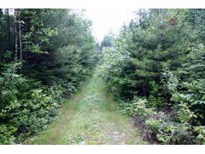 49.5 Deer Run Road Bethlehem, NH 03574 - Photo 12 of 16