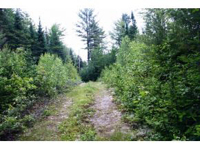 49.5 Deer Run Road Bethlehem, NH 03574 - Photo 13 of 16