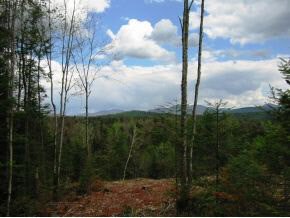 49.5 Deer Run Road Bethlehem, NH 03574 - Photo 14 of 16