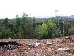 49.5 Deer Run Road Bethlehem, NH 03574 - Photo 15 of 16