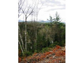 49.5 Deer Run Road Bethlehem, NH 03574 - Photo 16 of 16