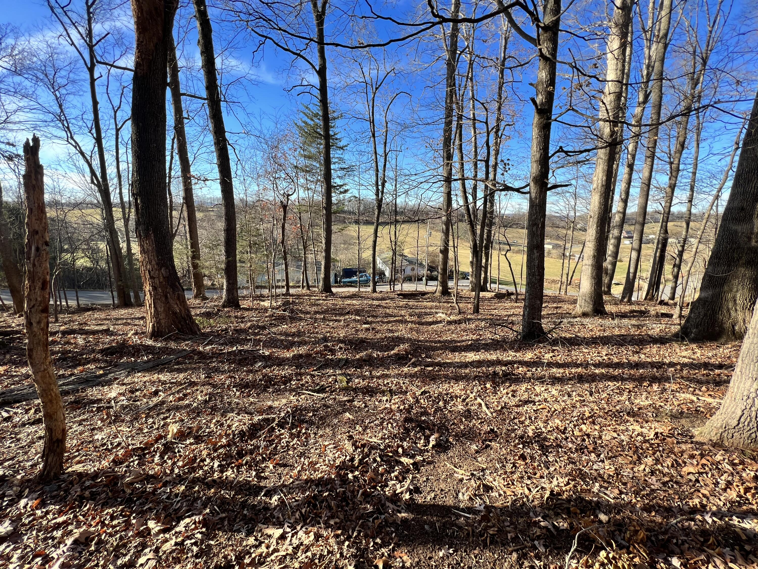 8 Booher Road, Unit 8 Jonesborough, TN 37659 - Photo 3 of 6 29E1BC8A-FBB5-4B12-B49B-16AE7E3ECEF5