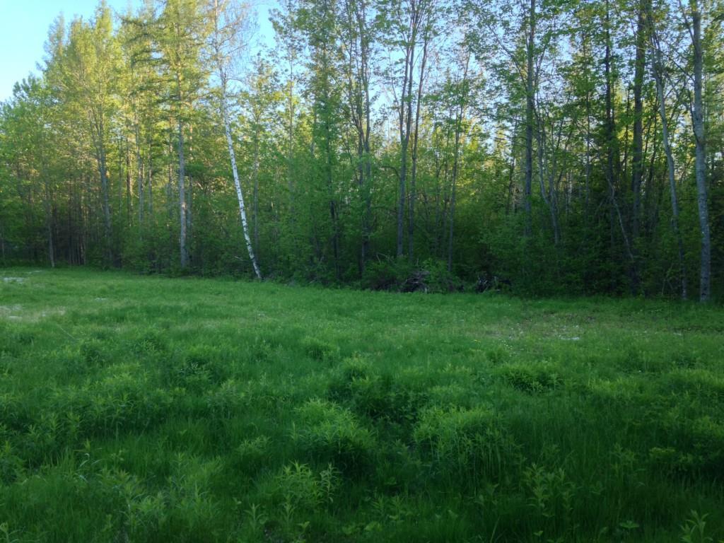 620 Edinburg Road Howland, ME 04448 - Photo 1 of 9 Maine Land for Sale