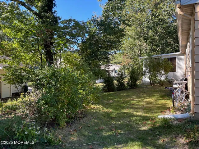 a view of a trees in a yard