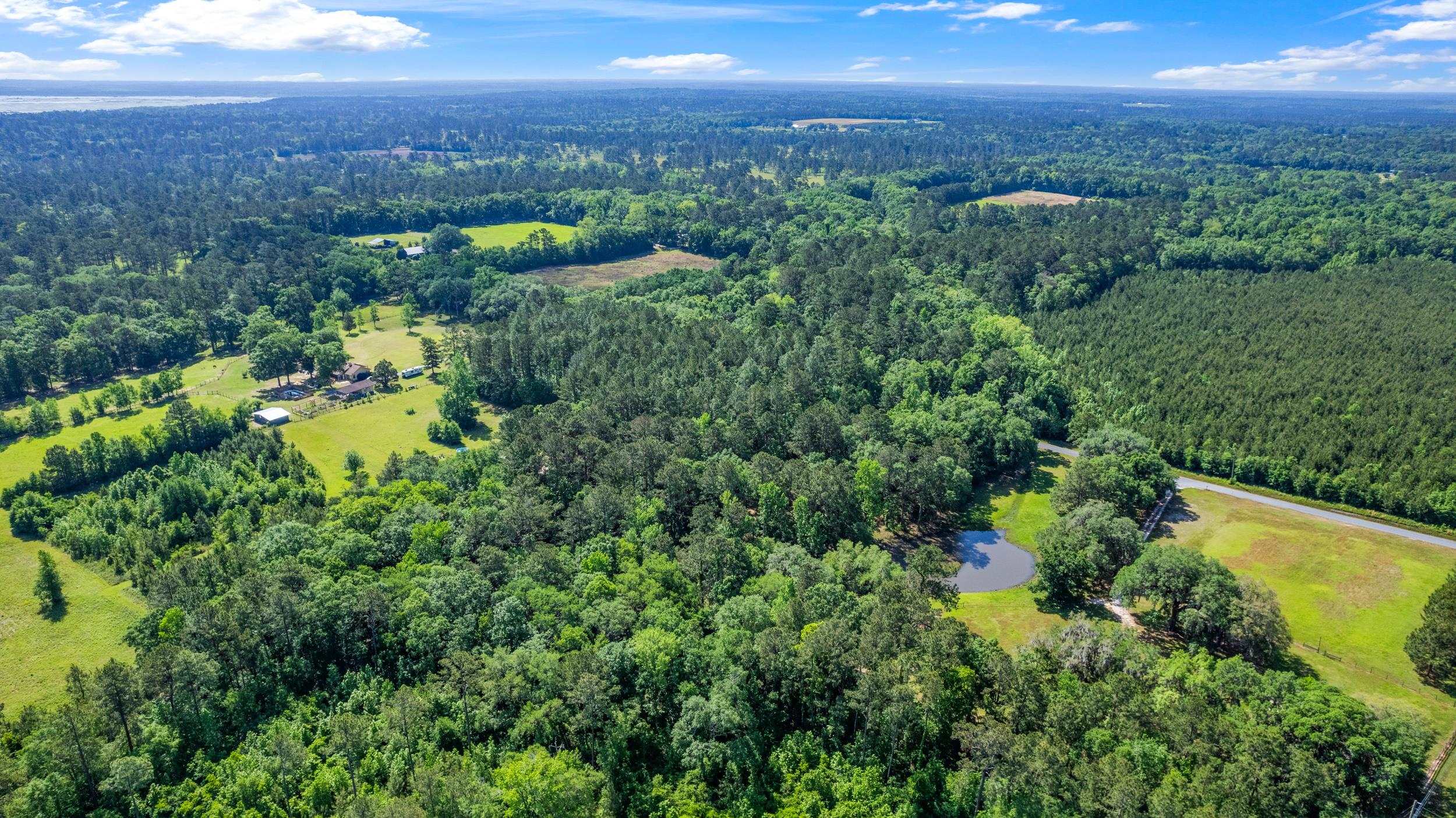14008 Godbold Road Tallahassee, FL 32309 - Photo 18 of 22