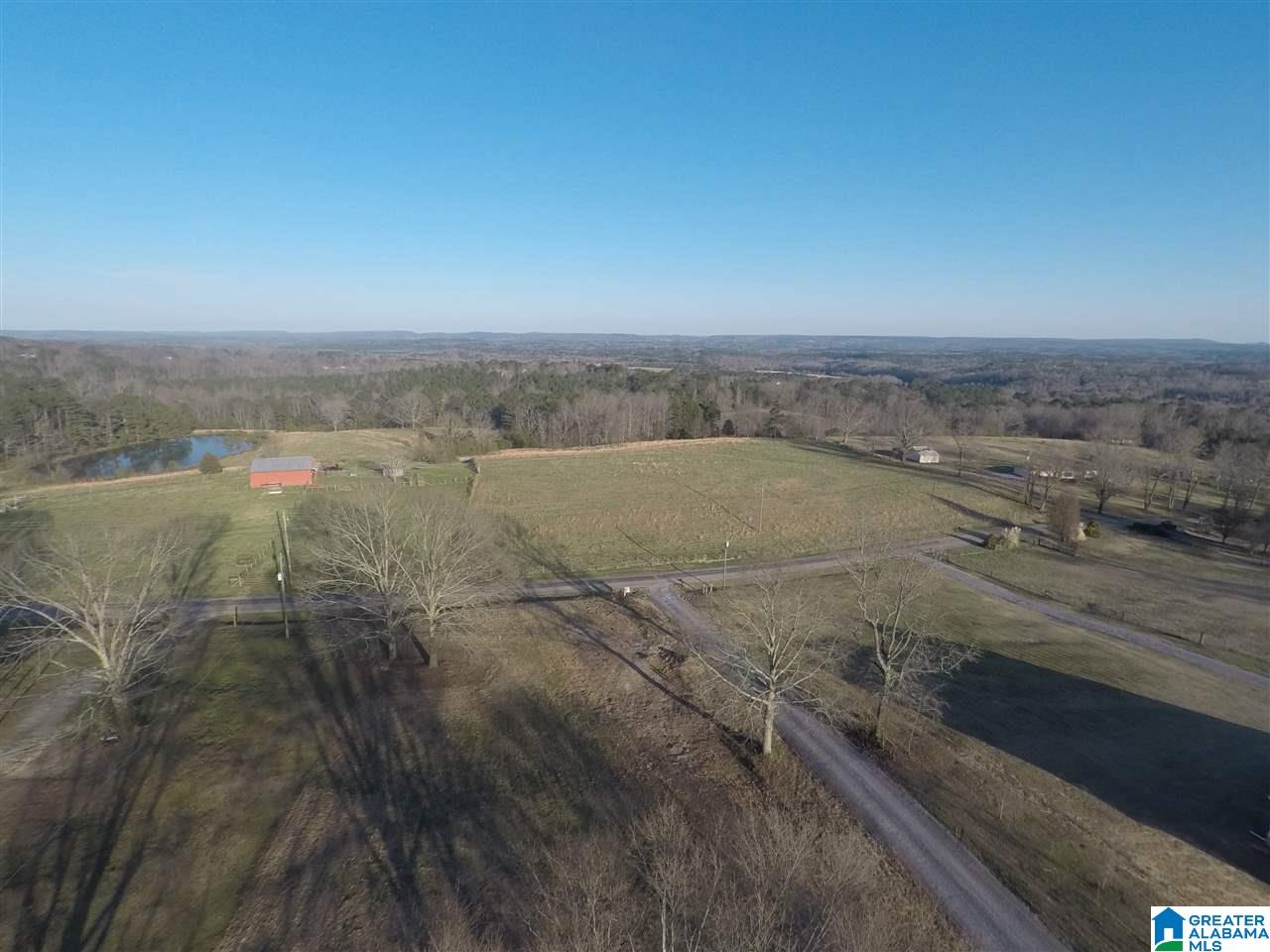 787 Cox Cove Road Hayden, AL 35079 - Photo 7 of 50