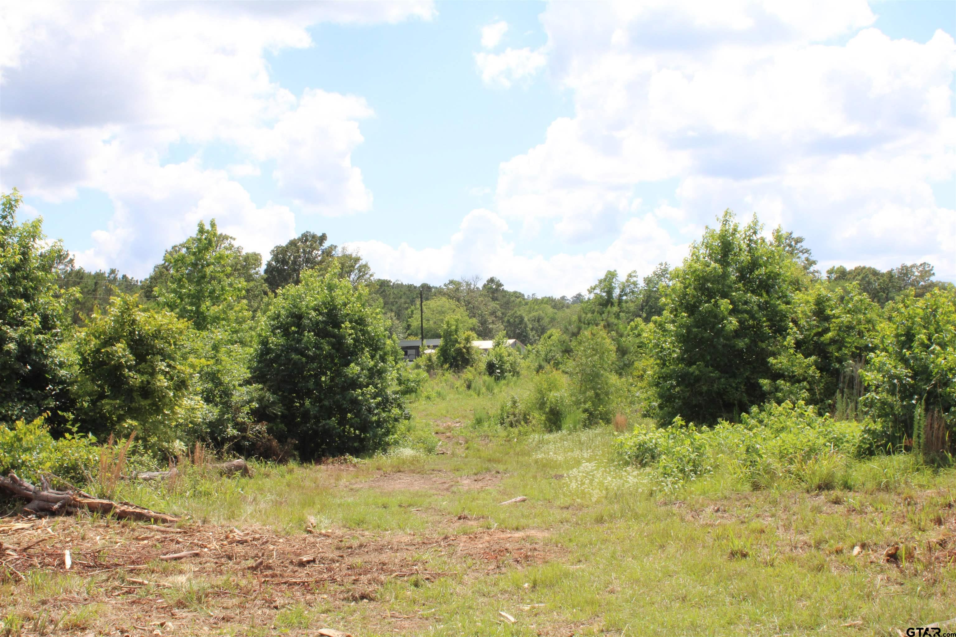 1110 - Tract 4 Rusk Tx 75785 Rusk, TX 75785 - Photo 8 of 13