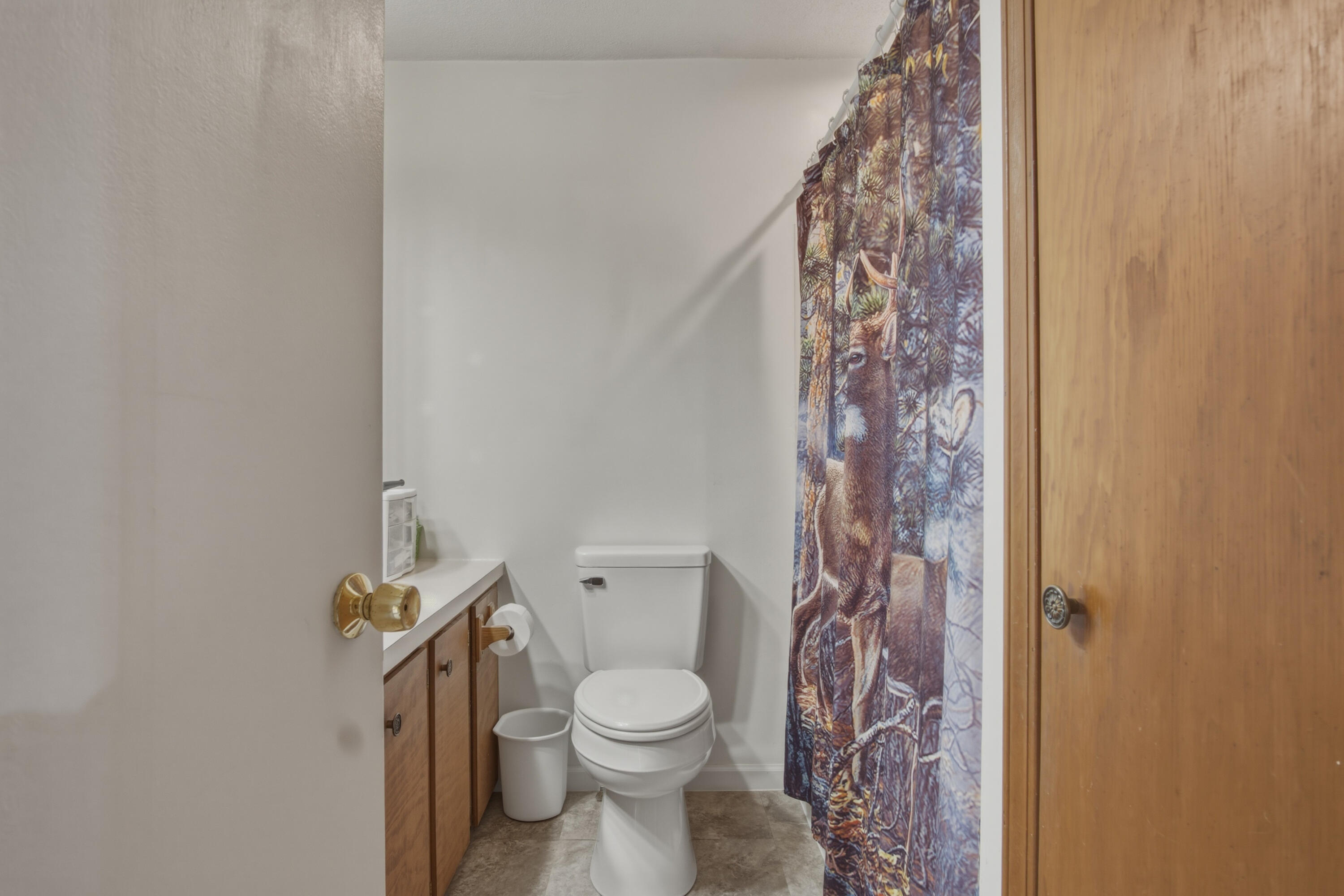 3429 South Merrillville Road Baldwin, MI 49304 - Photo 17 of 38 DSC03964