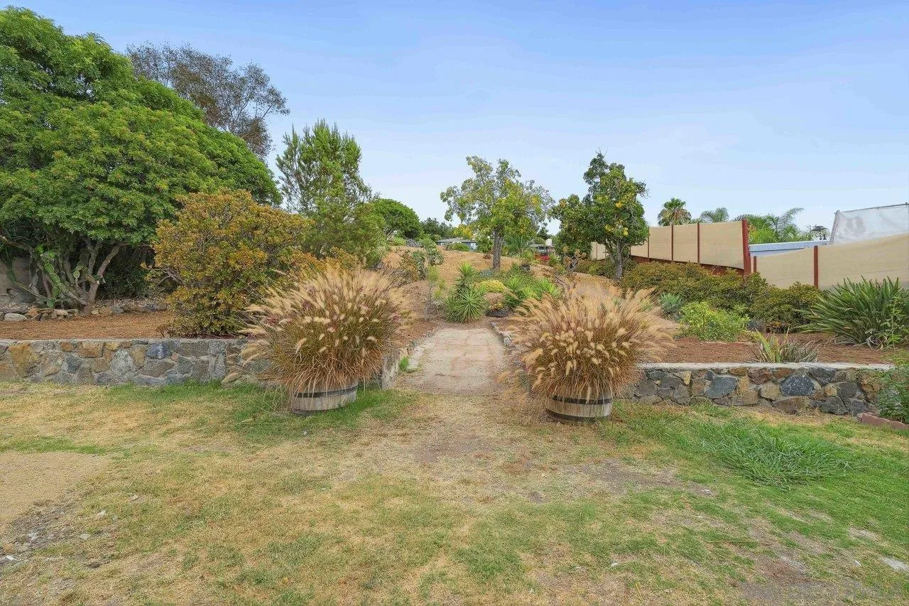 4741 Maple Avenue La Mesa, CA 91942 - Photo 27 of 34 a view of a garden with large tree