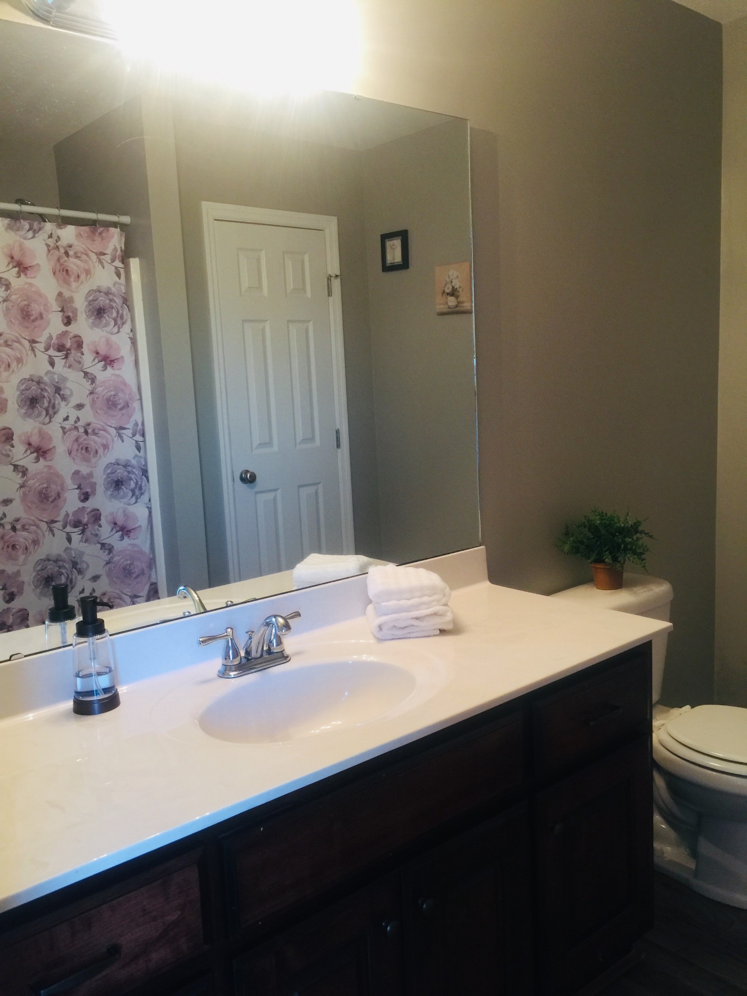 63 Robertson Hollow Road Taft, TN 38488 - Photo 11 of 16 a bathroom with a sink a toilet and mirror