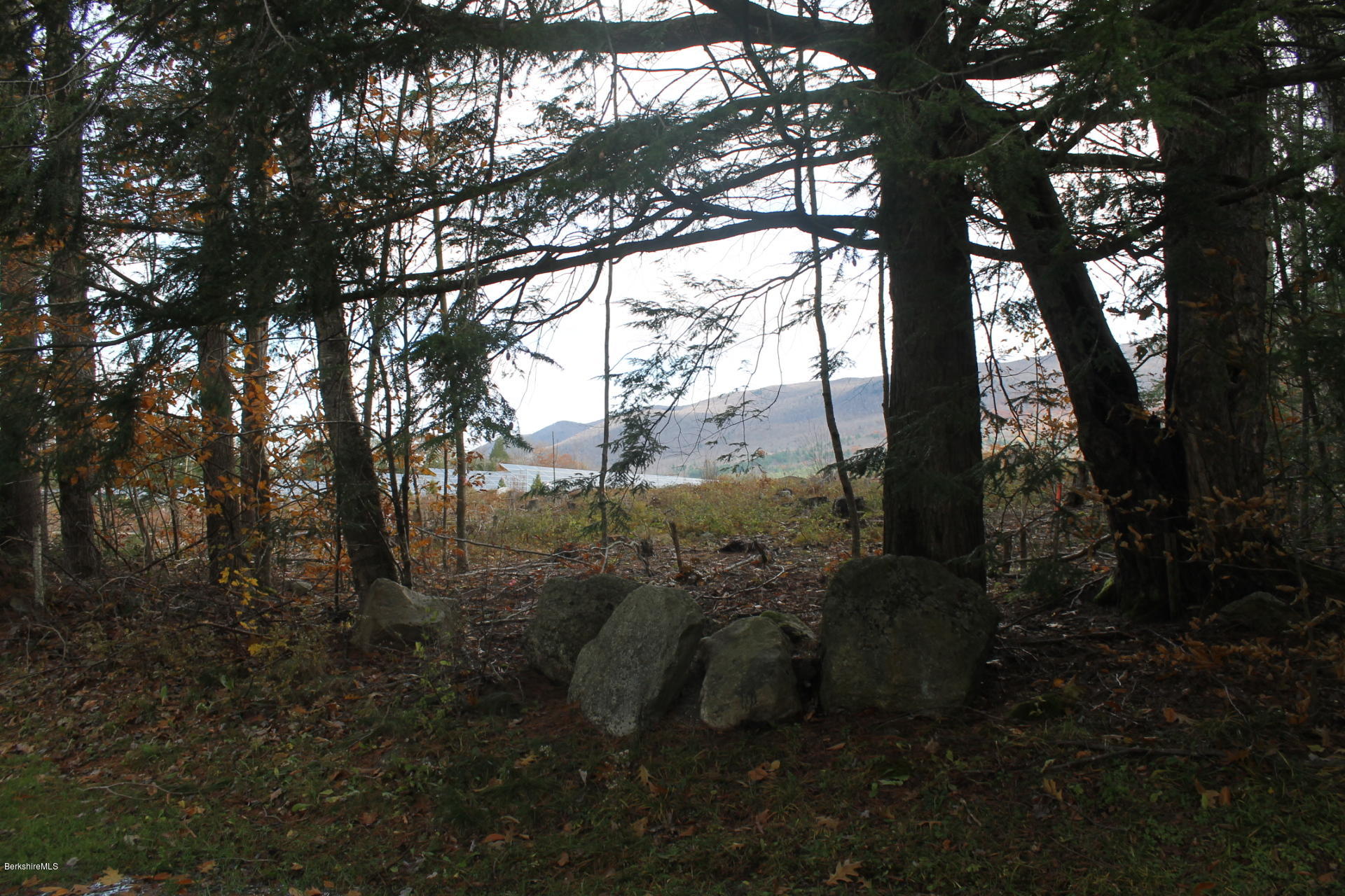 986 Middle Road Clarksburg, MA 01247 - Photo 6 of 20 a view of a yard with large trees