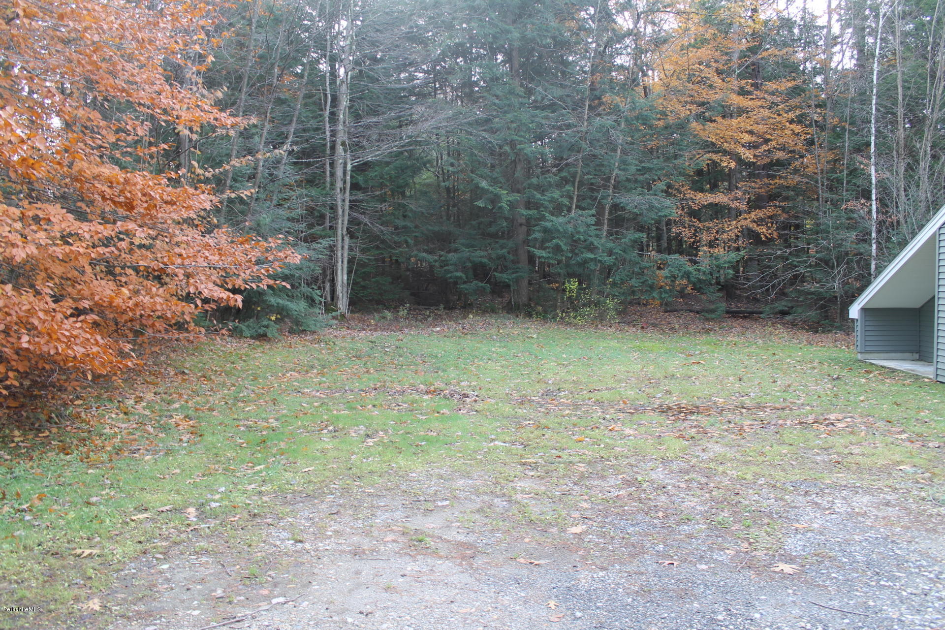 986 Middle Road Clarksburg, MA 01247 - Photo 7 of 20 a view of a yard with a tree