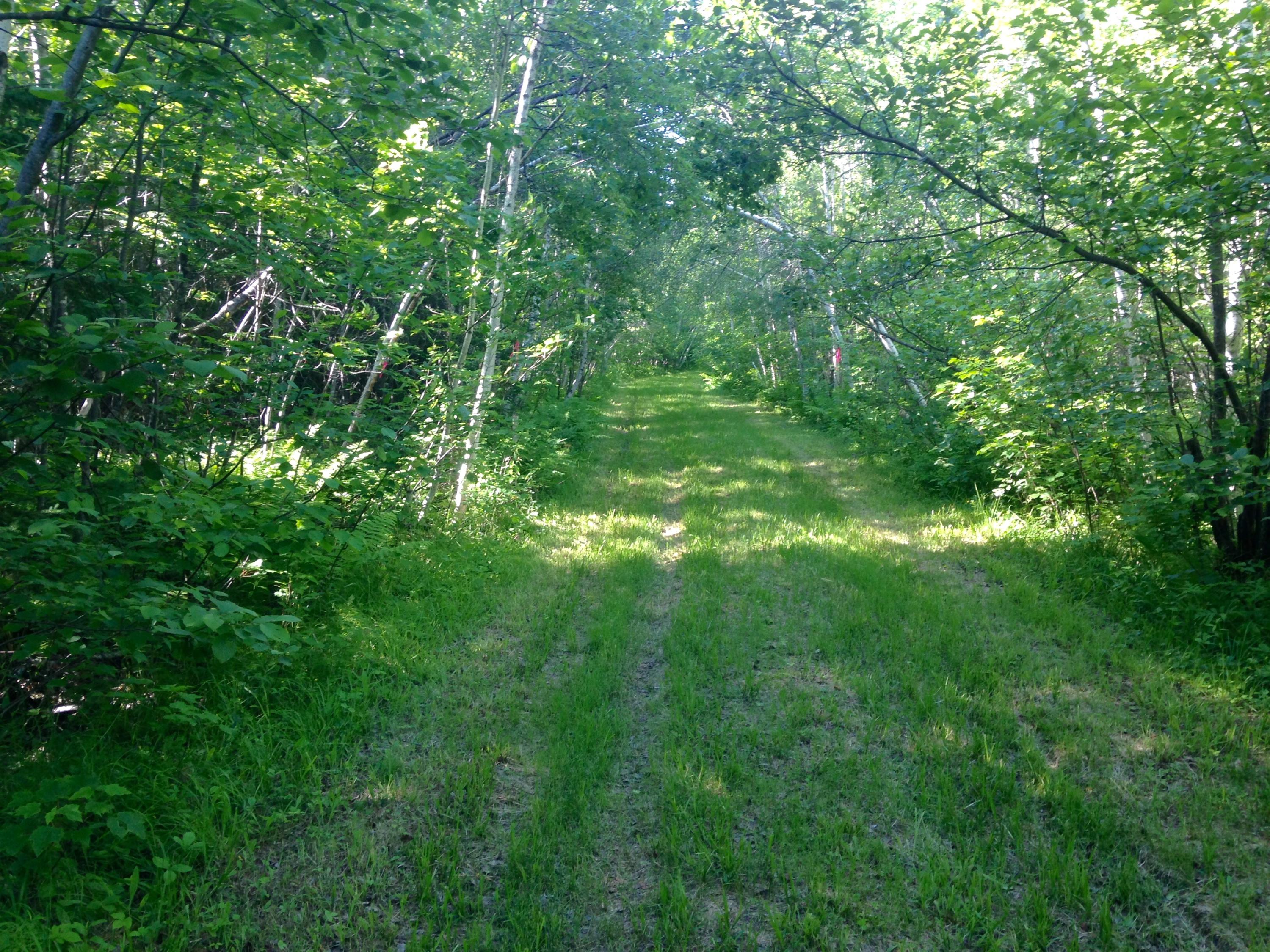 20 Winding Road Bradford, ME 04410 - Photo 6 of 13 Road