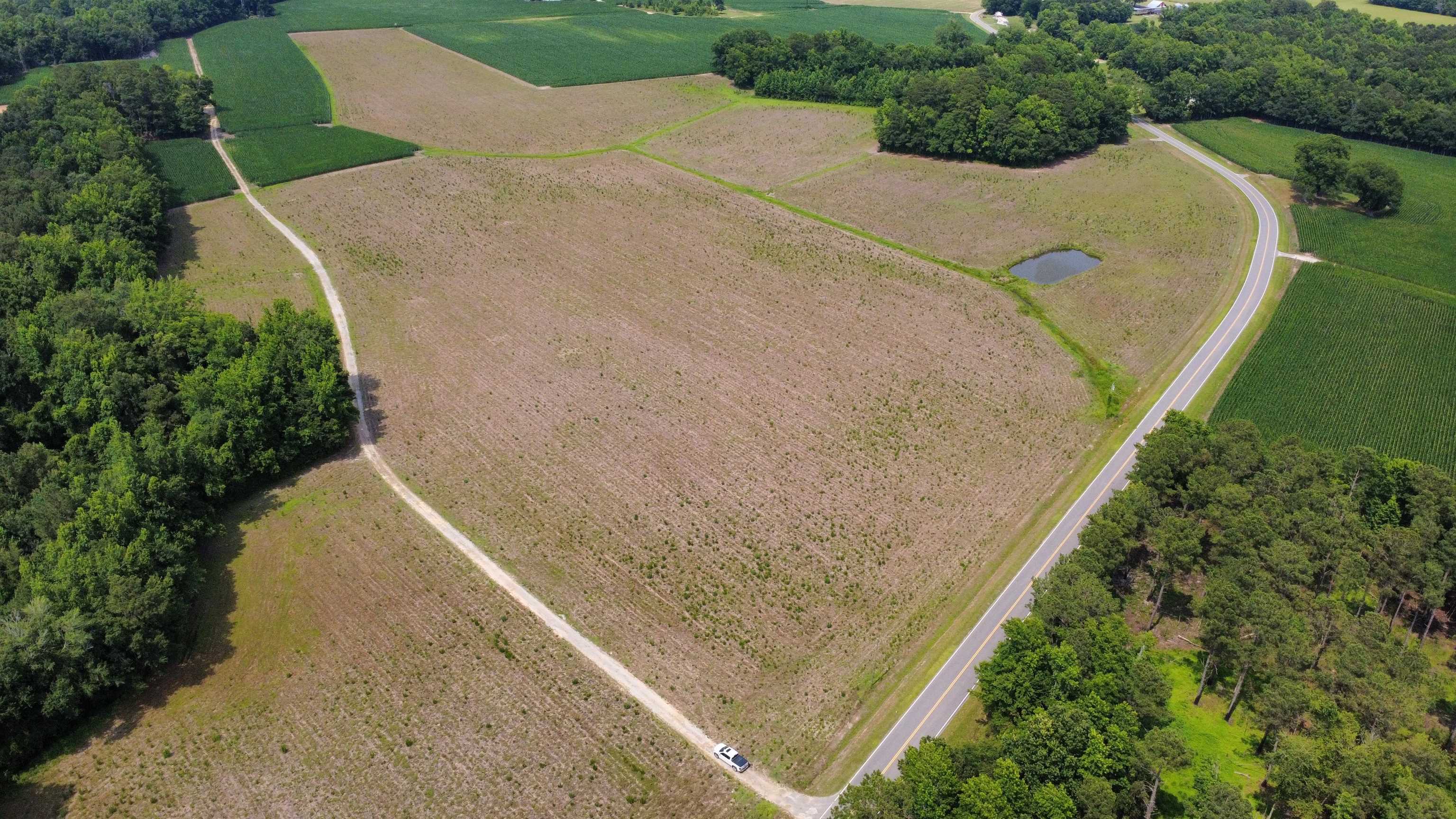 3 Long Branch Swamp Road Green Sea, SC 29545 - Photo 2 of 4