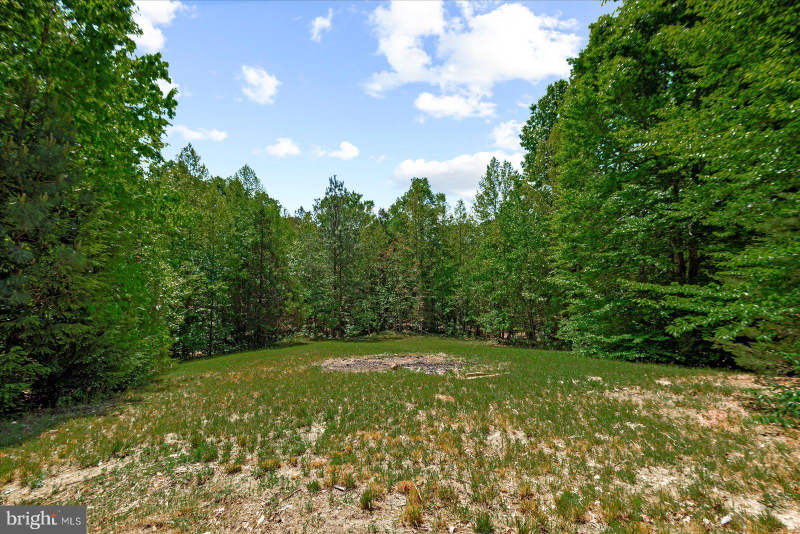 11024 Ladysmith Road Ruther Glen, VA 22546 - Photo 31 of 34 Front yard