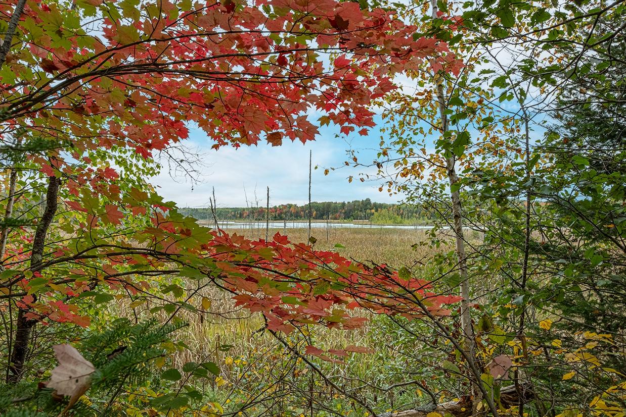 10680 Powers Dam Road Long Lake, WI 54542 - Photo 13 of 65 Gallery Image 13