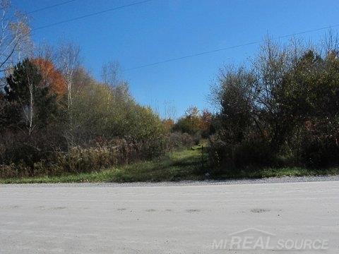 2004 Emerson Road Goodells, MI 48027 - Photo 4 of 6
