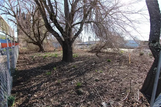 a view of a yard with trees