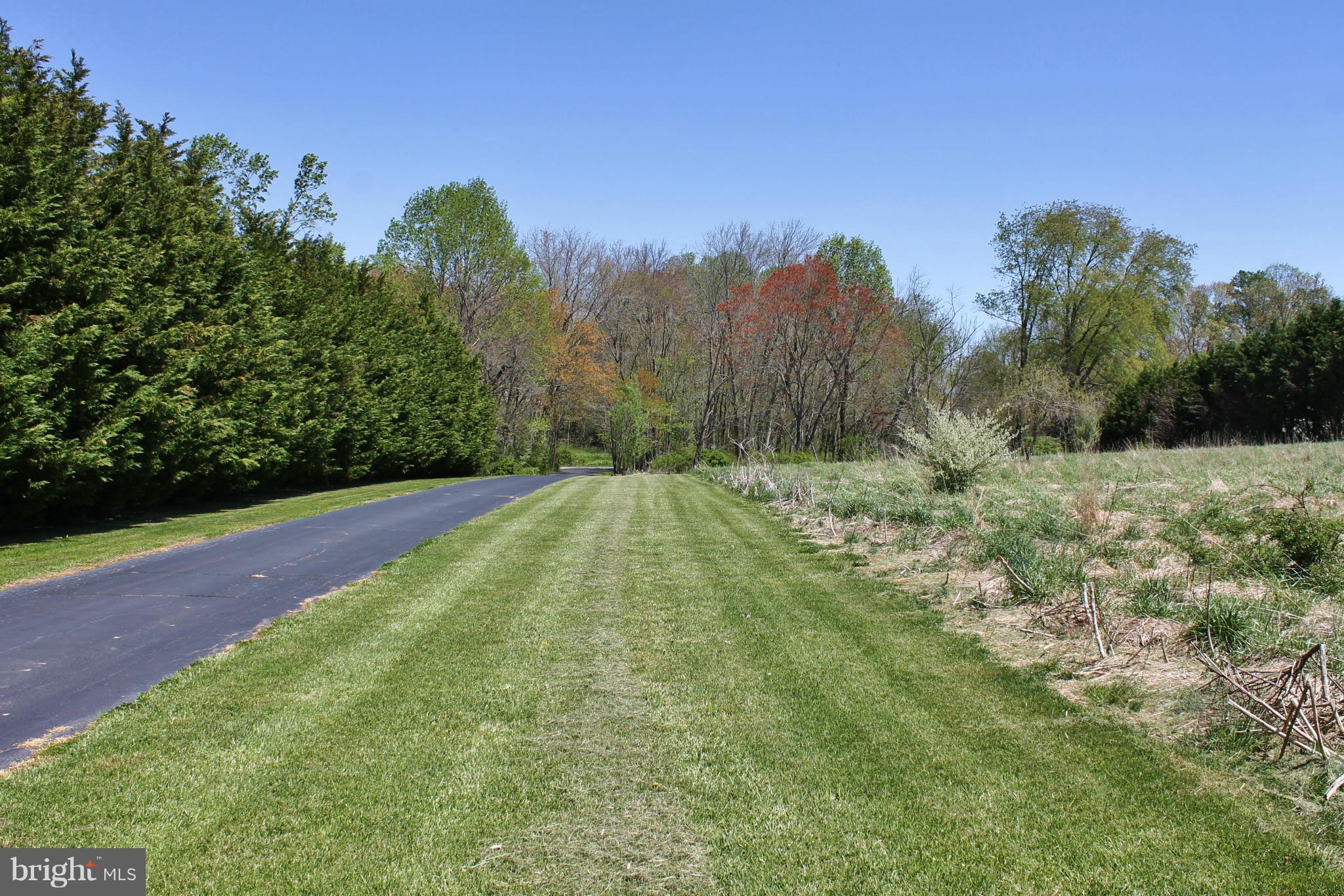 123 Blacksnake Road Elkton, MD 21921 - Photo 3 of 16 Exterior (General)