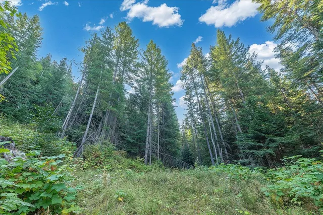 $129,000 | 80 Virginia Lane, Newport, WA 99156