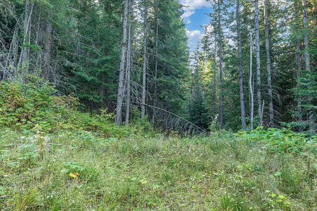 $129,000 | 80 Virginia Lane, Newport, WA 99156