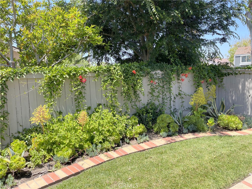 17 Fallbrook Irvine, CA 92604 - Photo 19 of 31 Backyard