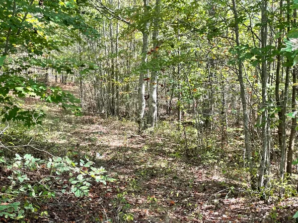 $110,000 | 3685 Crockett Point, Unit JF141, Jasper, TN 37347