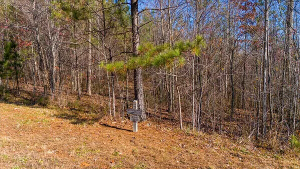 $110,000 | 3685 Crockett Point, Unit JF141, Jasper, TN 37347