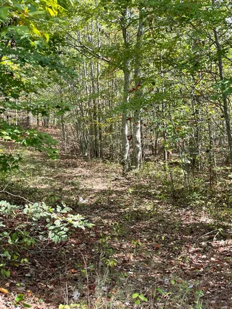 $110,000 | 3685 Crockett Point, Unit JF141, Jasper, TN 37347