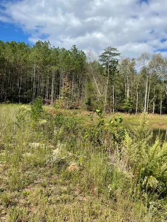 $110,000 | 3685 Crockett Point, Unit JF141, Jasper, TN 37347